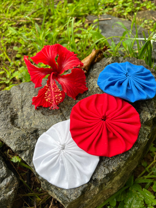 Rositas de los colores de la bandera