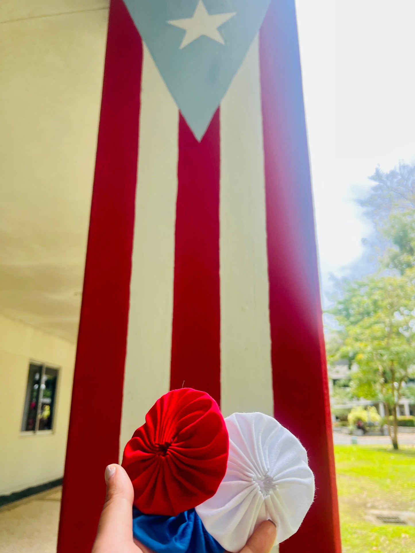 Adopta rositas para la bandera puertorriqueña