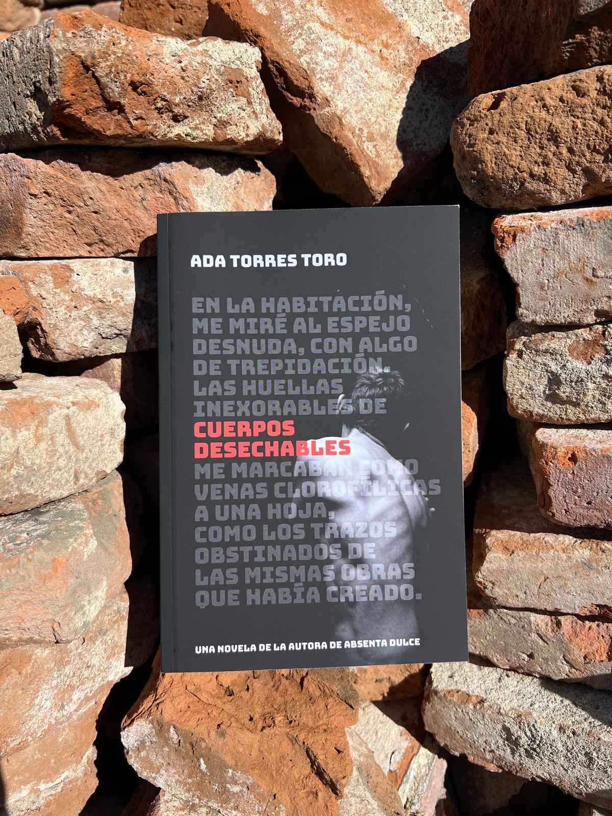 Cuerpos desechables | Novela sobre arte, poder y género