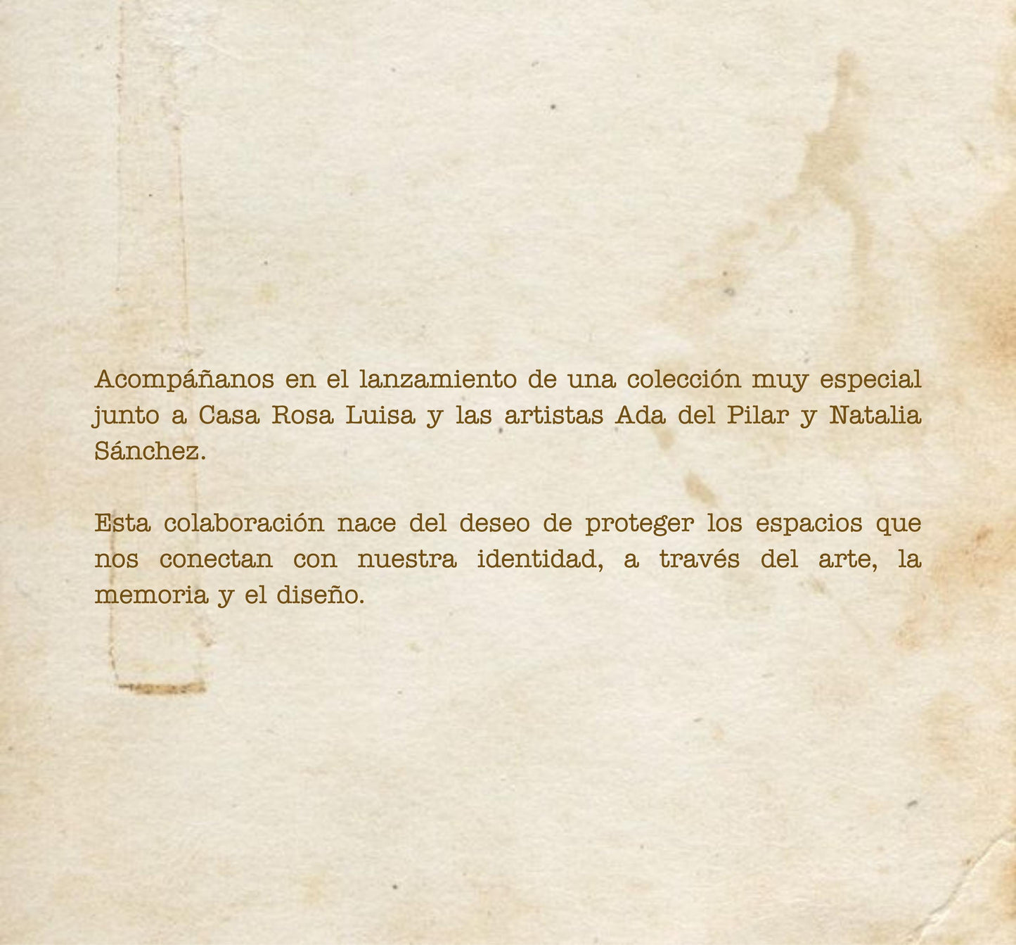 Las artistas de Rosa Luisa
