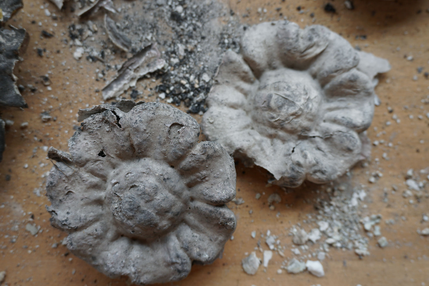 Taller de moldes - 31 de enero