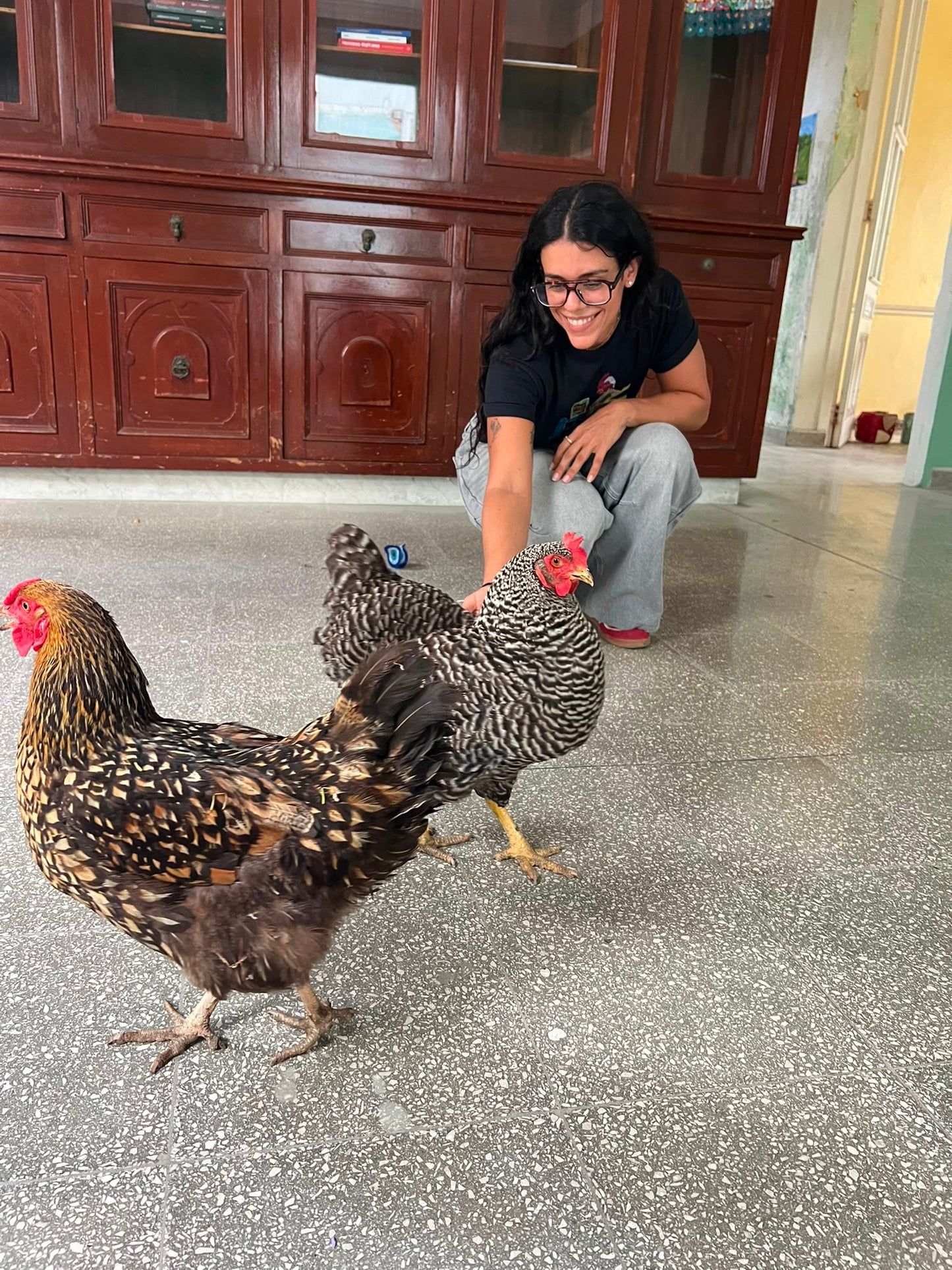 Gallinas en Rosa Luisa | Sip & Paint con Leeann Vázquez